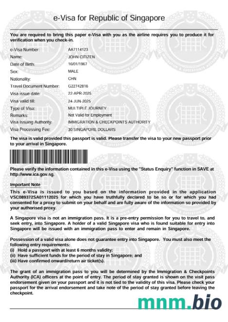 Szablon e-visa do Singapuru